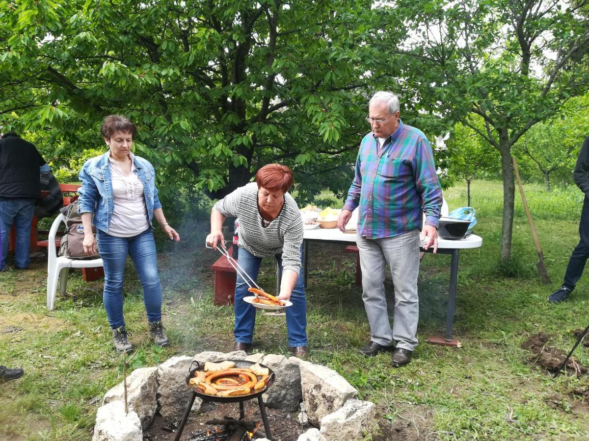 Ferienwohnung Valeria Vendeghaz Budakalász Exterior foto